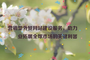 營銷型外貿(mào)網(wǎng)站建設(shè)服務(wù)，助力企業(yè)拓展全球市場的關(guān)鍵利器