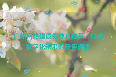 廣州網(wǎng)站建設(shè)的地方推薦，打造數(shù)字化未來(lái)的最佳選擇