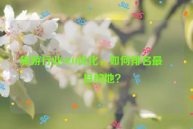 旅游行業(yè)SEO優(yōu)化，如何排名最佳目的地？