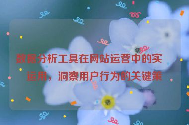 數(shù)據(jù)分析工具在網(wǎng)站運(yùn)營(yíng)中的實(shí)戰(zhàn)運(yùn)用，洞察用戶行為的關(guān)鍵策略