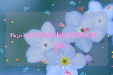 Magento在外貿(mào)網(wǎng)站建設中的優(yōu)勢與挑戰(zhàn)