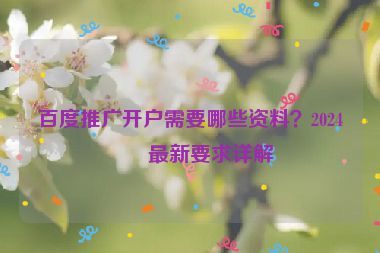 百度推廣開戶需要哪些資料？2024年最新要求詳解