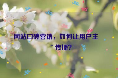 網(wǎng)站口碑營(yíng)銷，如何讓用戶主動(dòng)傳播？