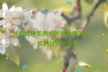 外匯管理條例對外貿(mào)電商外匯交易的規(guī)定與影響