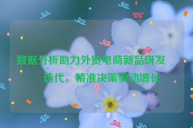 數(shù)據(jù)分析助力外貿(mào)電商新品研發(fā)與迭代，精準決策驅動增長