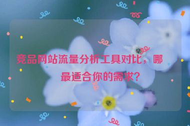 競(jìng)品網(wǎng)站流量分析工具對(duì)比，哪款最適合你的需求？