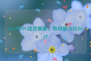 SEO與PPC結合策略，如何最大化ROI？