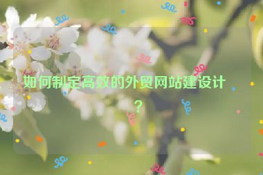 如何制定高效的外貿(mào)網(wǎng)站建設計劃？