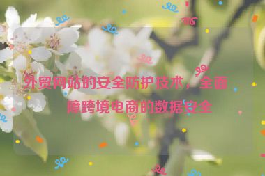 外貿(mào)網(wǎng)站的安全防護(hù)技術(shù)，全面保障跨境電商的數(shù)據(jù)安全