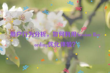 用戶行為分析，如何利用Session Recording優(yōu)化體驗(yàn)？