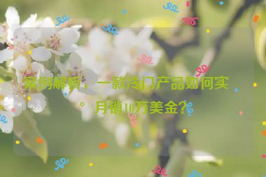案例解析，一款冷門產(chǎn)品如何實(shí)現(xiàn)月銷10萬美金？