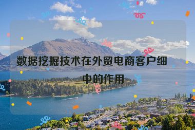 數(shù)據(jù)挖掘技術在外貿(mào)電商客戶細分中的作用