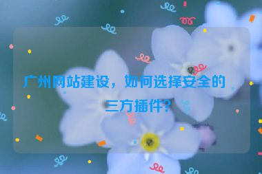 廣州網(wǎng)站建設(shè)，如何選擇安全的第三方插件？