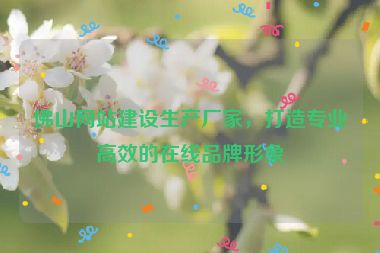 佛山網(wǎng)站建設(shè)生產(chǎn)廠家，打造專業(yè)高效的在線品牌形象
