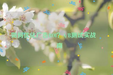 如何優(yōu)化廣告ROI？A/B測試實戰(zhàn)指南
