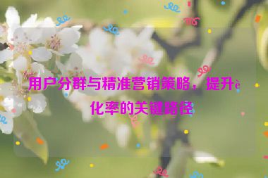 用戶(hù)分群與精準(zhǔn)營(yíng)銷(xiāo)策略，提升轉(zhuǎn)化率的關(guān)鍵路徑