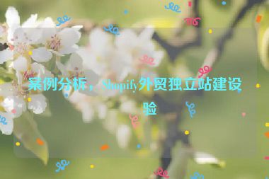 案例分析，Shopify外貿(mào)獨(dú)立站建設(shè)經(jīng)驗(yàn)