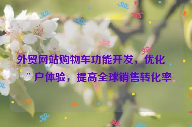 外貿(mào)網(wǎng)站購(gòu)物車功能開(kāi)發(fā)，優(yōu)化用戶體驗(yàn)，提高全球銷售轉(zhuǎn)化率
