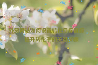 外貿(mào)網(wǎng)站如何設(shè)置轉(zhuǎn)化目標(biāo)追蹤？提升轉(zhuǎn)化率的關(guān)鍵步驟