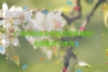 廣州網(wǎng)站建設(shè)優(yōu)質(zhì)商家有哪些？全面解析與推薦