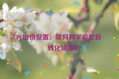 oCPC出價(jià)設(shè)置，如何科學(xué)設(shè)定目標(biāo)轉(zhuǎn)化成本？