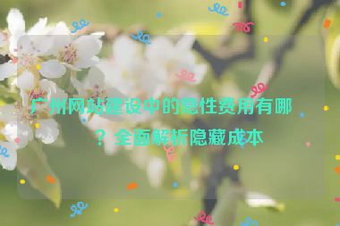 廣州網(wǎng)站建設(shè)中的隱性費(fèi)用有哪些？全面解析隱藏成本