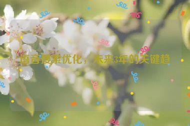 語音搜索優(yōu)化，未來3年的關(guān)鍵趨勢(shì)