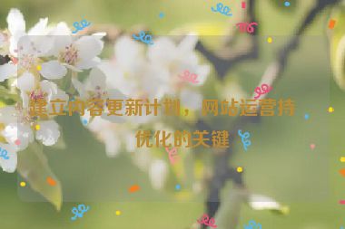 建立內容更新計劃，網站運營持續(xù)優(yōu)化的關鍵