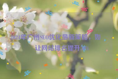 2024年廣州SEO優(yōu)化最新策略，如何讓網(wǎng)站排名提升50%