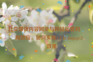 社交媒體內(nèi)容同步與網(wǎng)站運(yùn)營(yíng)的協(xié)同效應(yīng)，如何實(shí)現(xiàn)1+1&gt;2的效果
