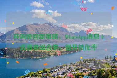 棄購(gòu)?fù)旎匦虏呗?，WhatsApp消息+優(yōu)惠券組合拳，提升轉(zhuǎn)化率