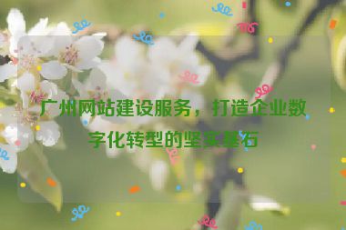 廣州網(wǎng)站建設(shè)服務(wù)，打造企業(yè)數(shù)字化轉(zhuǎn)型的堅實基石