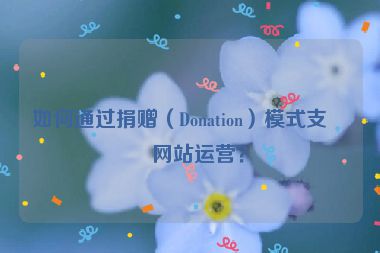 如何通過捐贈(zèng)（Donation）模式支持網(wǎng)站運(yùn)營(yíng)？