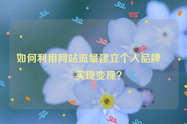 如何利用網(wǎng)站流量建立個(gè)人品牌并實(shí)現(xiàn)變現(xiàn)？