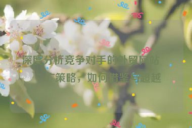 深度分析競爭對手的外貿(mào)網(wǎng)站推廣策略，如何借鑒與超越