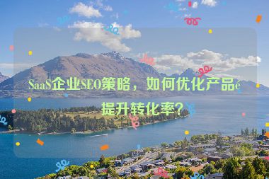SaaS企業(yè)SEO策略，如何優(yōu)化產(chǎn)品頁(yè)提升轉(zhuǎn)化率？