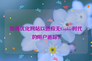 如何優(yōu)化網(wǎng)站以適應(yīng)無Cookie時(shí)代的用戶追蹤？