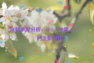 流量來源分析，SEO、社媒、廣告的貢獻(xiàn)對比