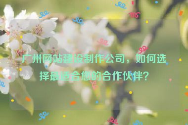 廣州網(wǎng)站建設(shè)制作公司，如何選擇最適合您的合作伙伴？