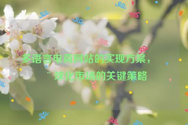 多語(yǔ)言電商網(wǎng)站的實(shí)現(xiàn)方案，全球化市場(chǎng)的關(guān)鍵策略