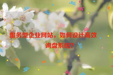 服務(wù)型企業(yè)網(wǎng)站，如何設(shè)計高效的詢盤系統(tǒng)？