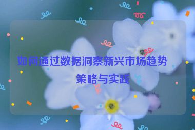 如何通過數(shù)據(jù)洞察新興市場趨勢，策略與實踐