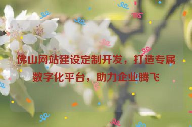 佛山網(wǎng)站建設(shè)定制開發(fā)，打造專屬數(shù)字化平臺，助力企業(yè)騰飛