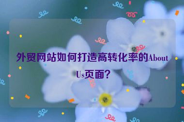 外貿(mào)網(wǎng)站如何打造高轉(zhuǎn)化率的About Us頁面？