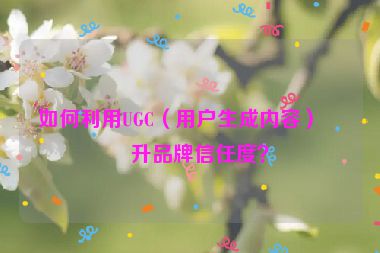 如何利用UGC（用戶生成內(nèi)容）提升品牌信任度？