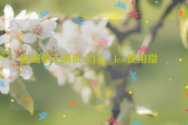 前端單元測試入門，Jest使用指南
