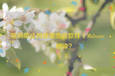 如何防止網(wǎng)站被惡意軟件（Malware）感染？