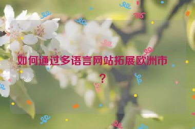如何通過多語言網(wǎng)站拓展歐洲市場？