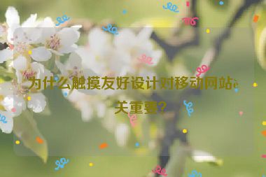 為什么觸摸友好設(shè)計對移動網(wǎng)站至關(guān)重要？