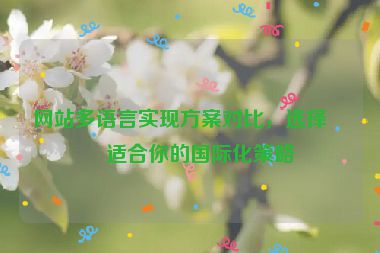 網(wǎng)站多語言實(shí)現(xiàn)方案對比，選擇最適合你的國際化策略